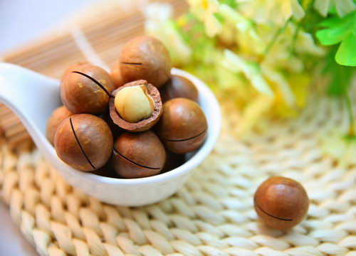 makadamiové ořechy